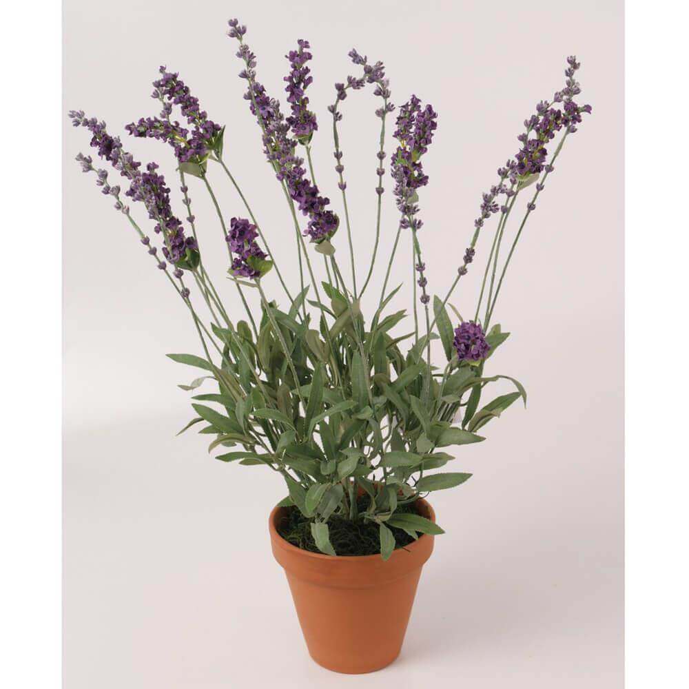 Floralsilk Faux Lavender in Terracotta Pot